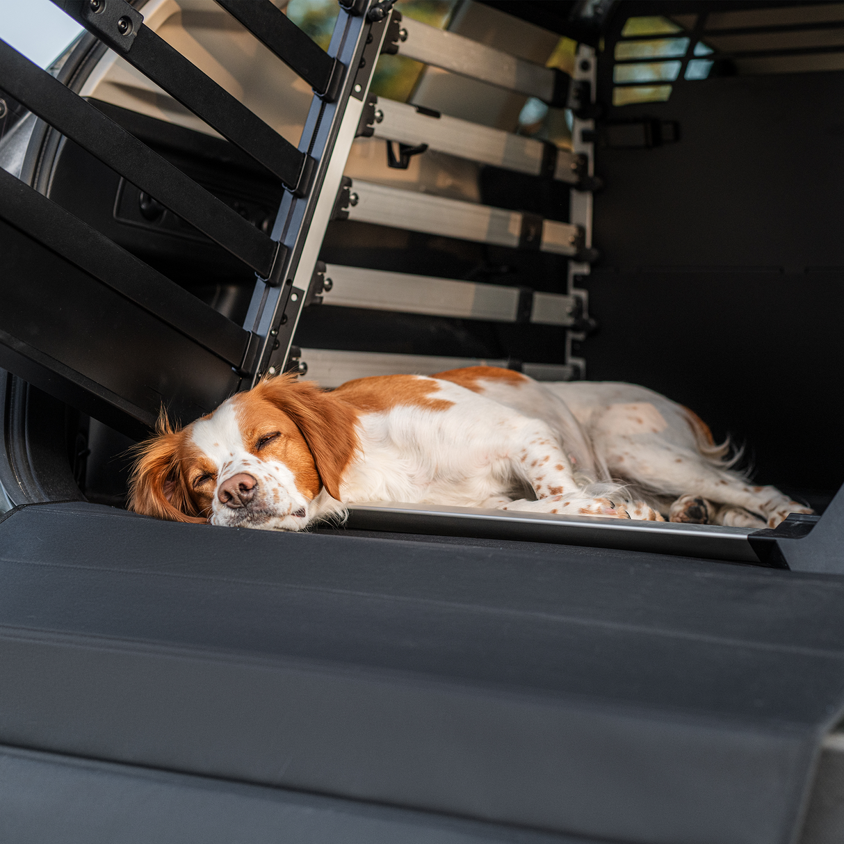 Thule - Dog Crate Mat Double - Black - 770107