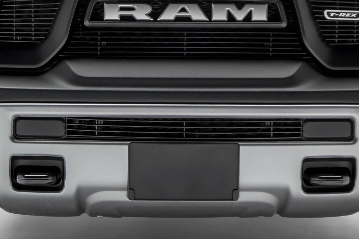 T-Rex Grilles - 1 Pc Horizontal Aluminum Billet Bumper Grille Insert - 254641B