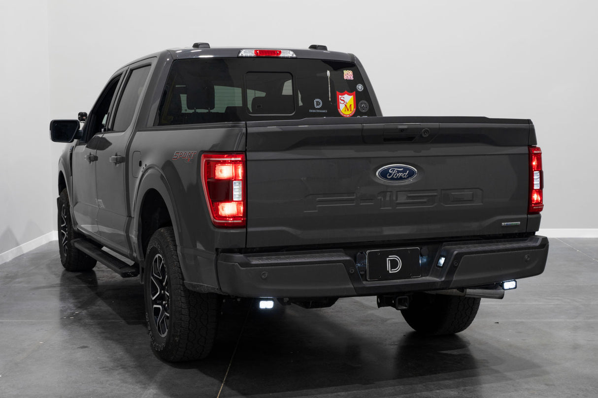 Diode Dynamics - Stage Series Reverse Light for 2021-2022 Ford F-150, C2 Pro - DD7377