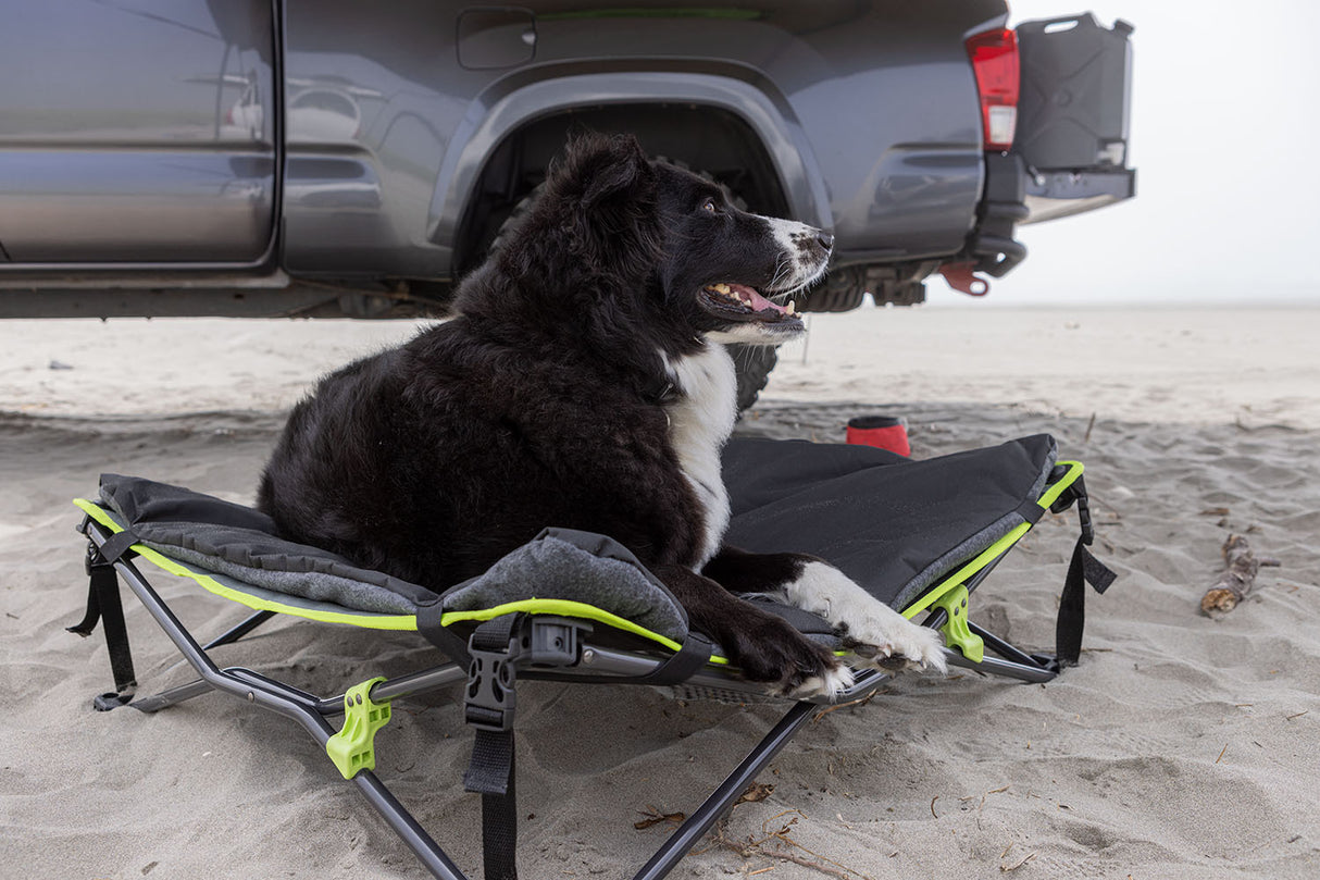 Ironman 4x4 - Quick Fold Dog Bed with Padded Mat - IPET0023