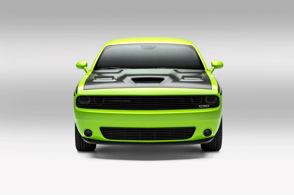 T-Rex Grilles - 1 Pc Horizontal Aluminum Laser Billet Grille Overlay - 6214191