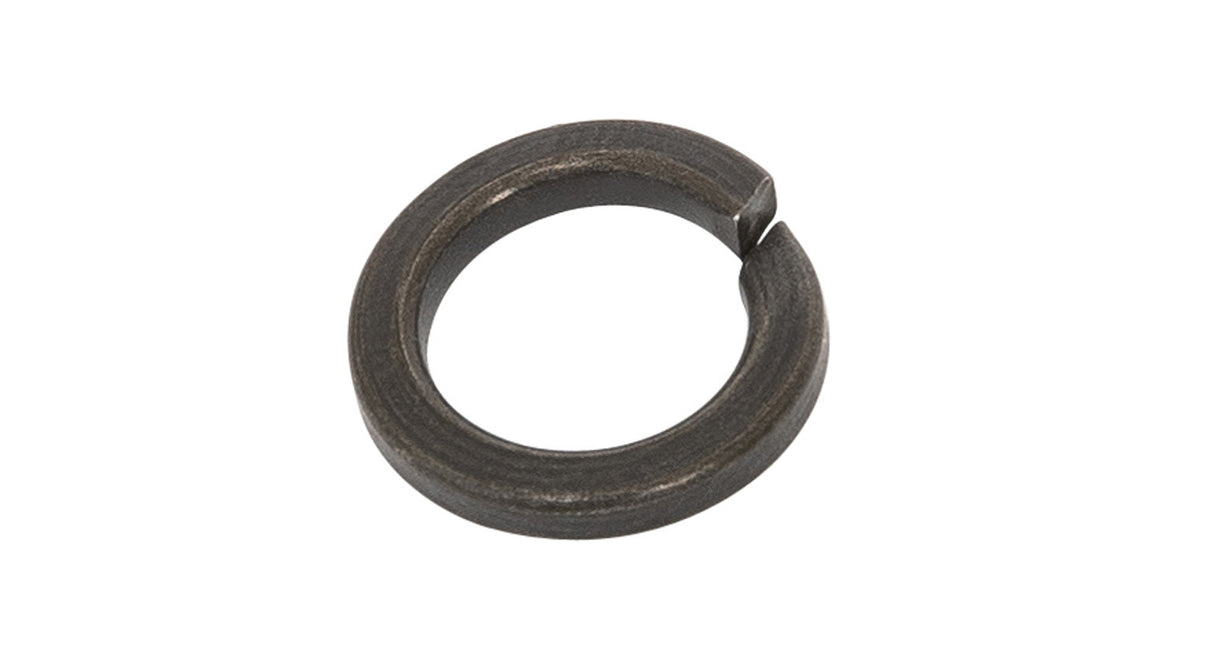 Rhino-Rack - M8 Spring Washer S/S Black (Bp 4) - W019-BLK-BP
