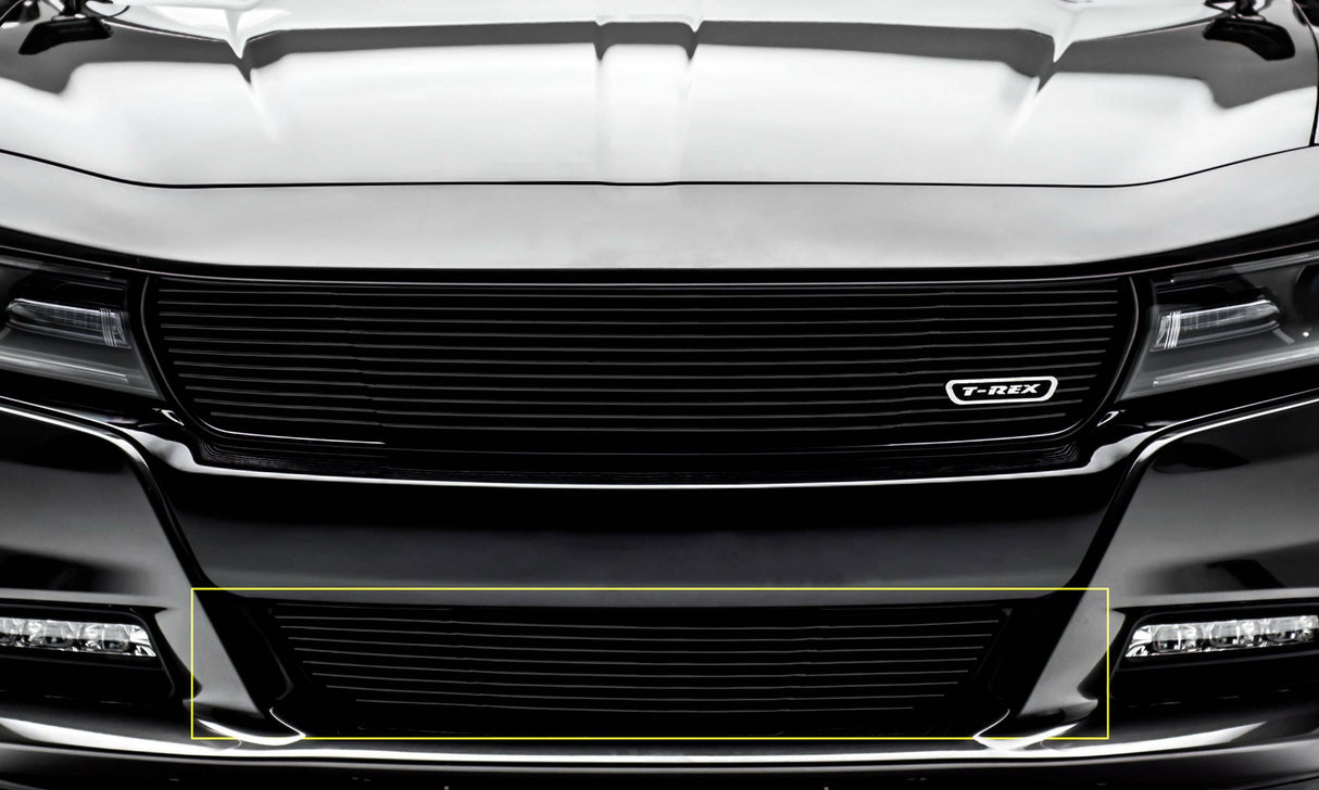 T-Rex Grilles - 1 Pc Horizontal Aluminum Laser Billet Bumper Grille Overlay - 6224761
