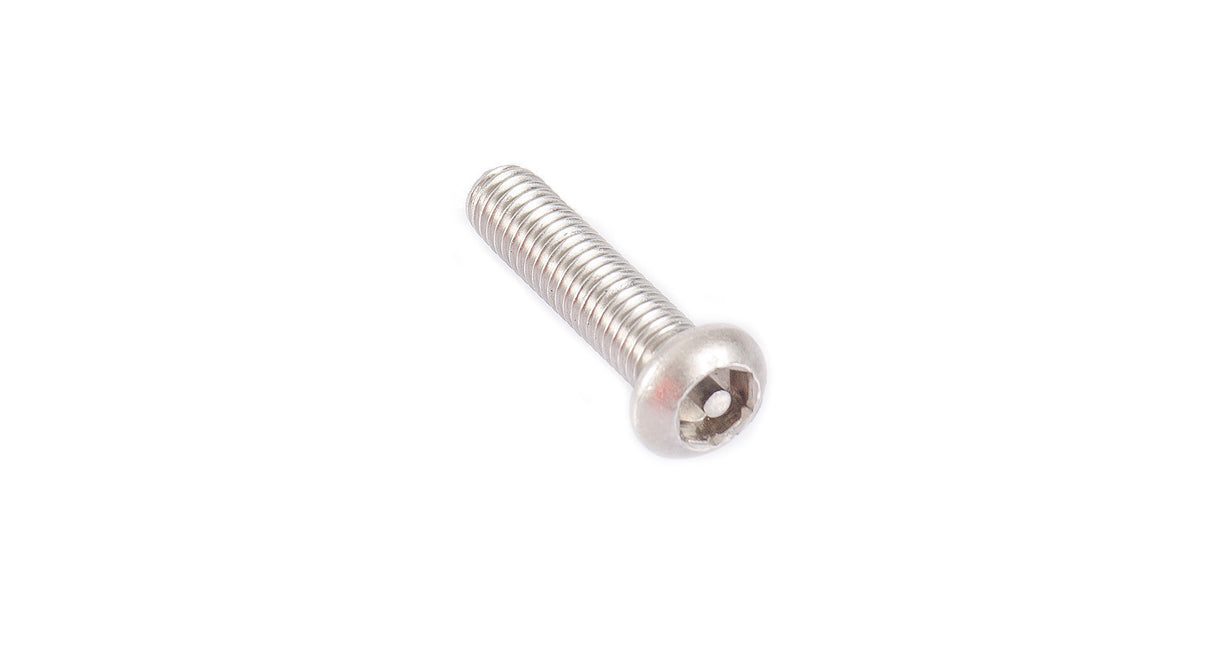 Rhino Rack - M6 x 25mm Security Screw (Stainless Steel) (x6) - B137-BP
