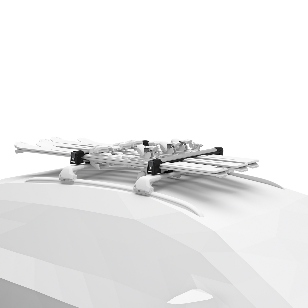 Thule - Snowpack L - 732601