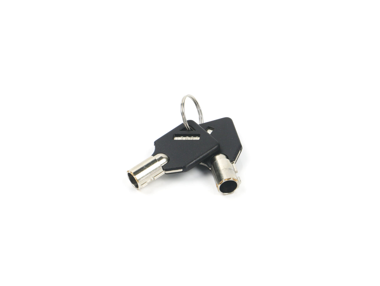 Weigh Safe WS09 Weigh safe Keys x2