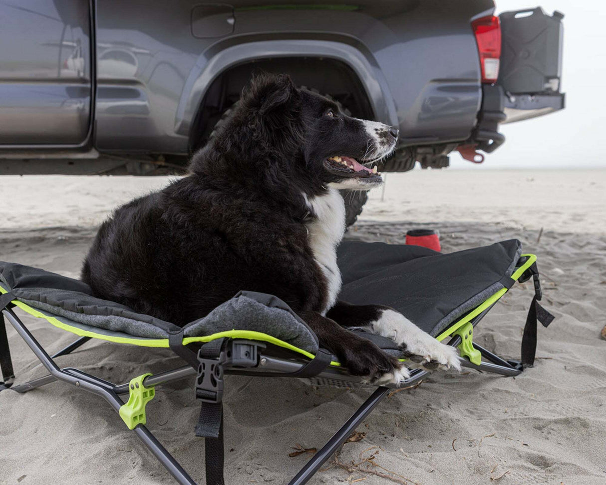 IronMan 4x4 - Quick Fold Dog Bed with Padded Mat - IPET0023