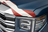 Husky Liners 2818146 Husky Liners Eagle American Flag Bug Shield Hood Protector