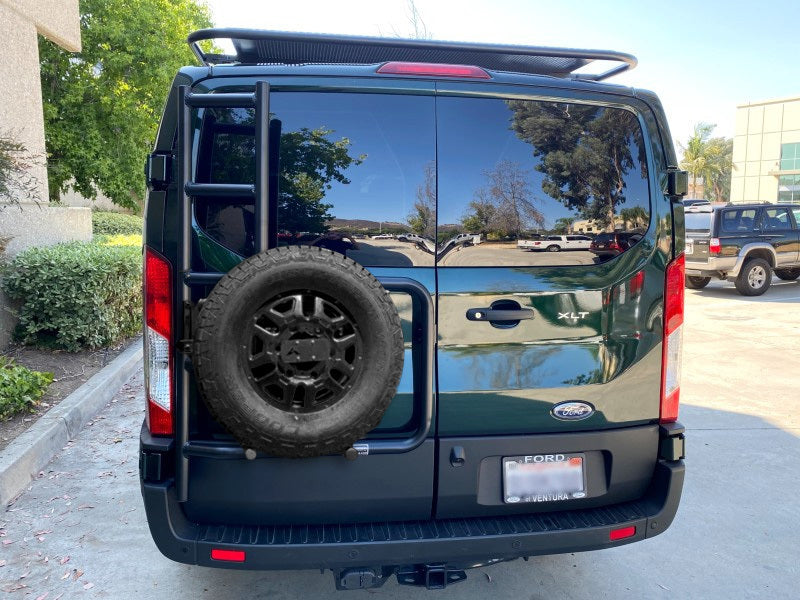 Aluminess 210722.1 Rear Door Ladder