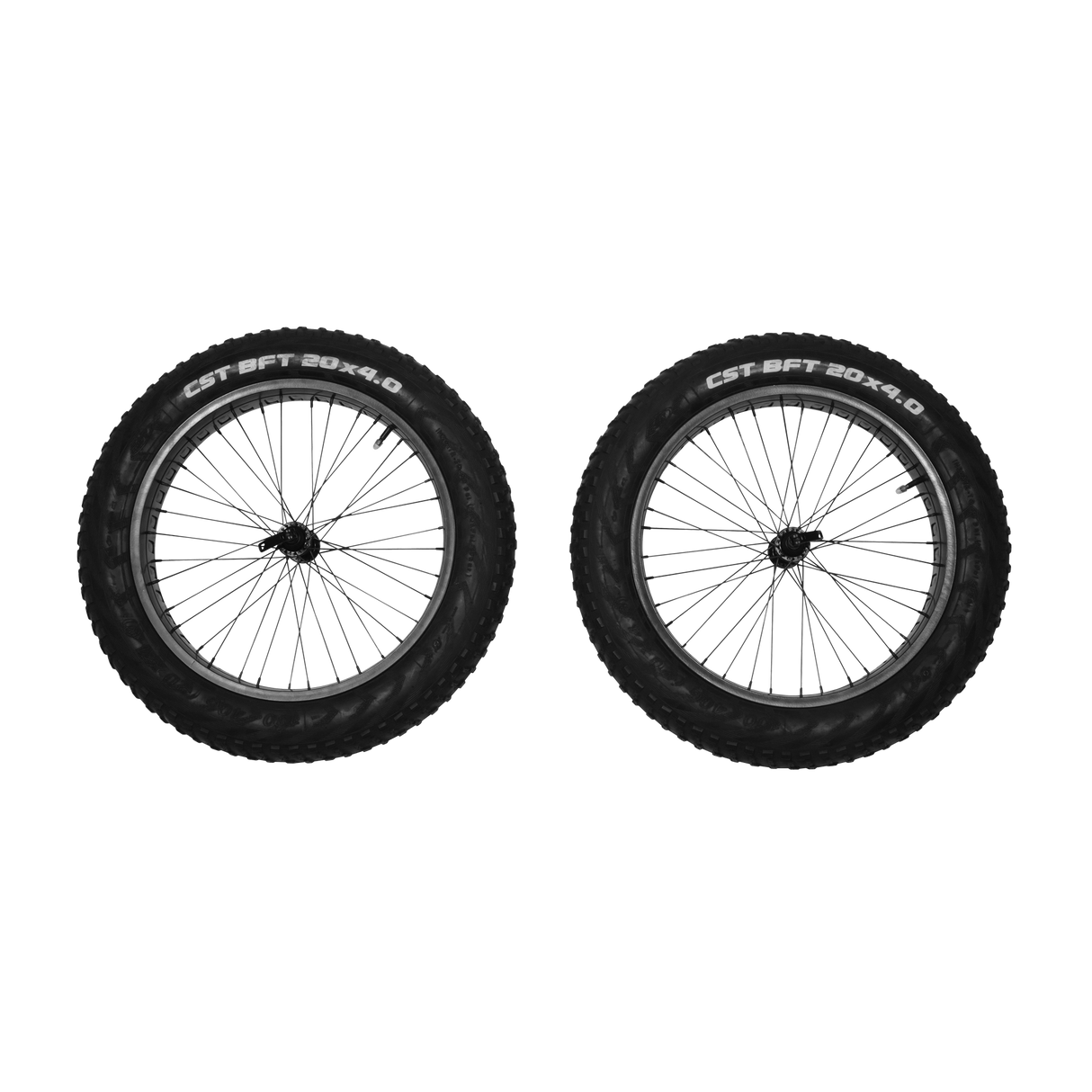 Thule - Reacha 20" fat tire wheel set - 10101415