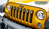 T-Rex Grilles - 1 Pc Small Mesh Mild Steel Stealth Torch Grille Insert - Total Light Output 6300 Lm, Includes Universal Wiring Harness - 6314841-BR