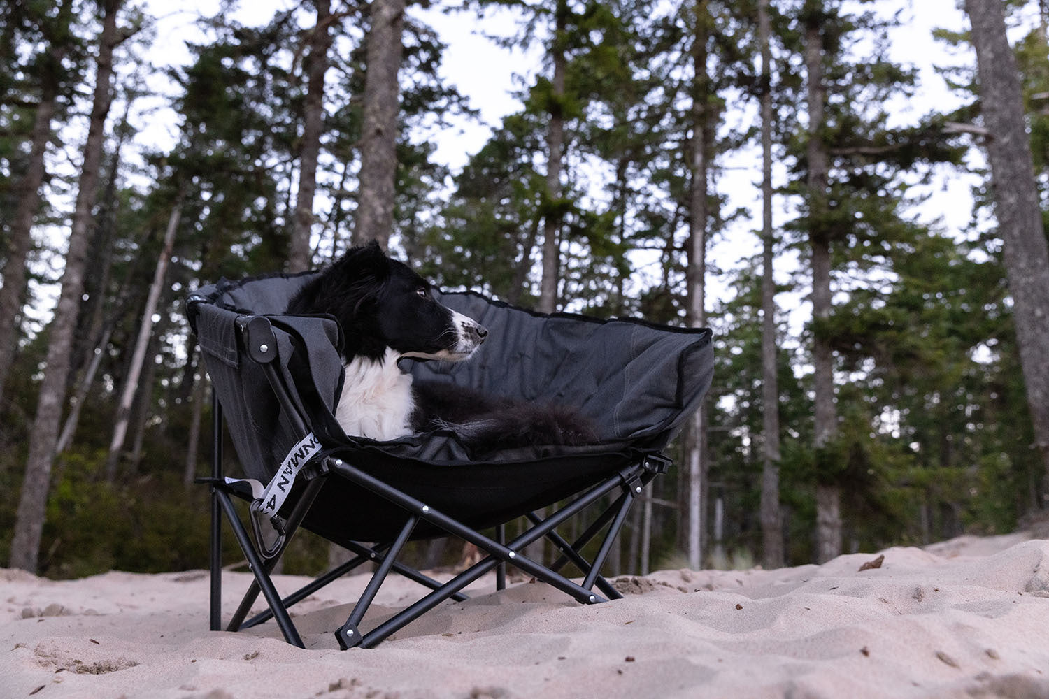 Ironman 4x4 - The Pet Lounger | Quick Fold Dog Camp Chair - IPET0078