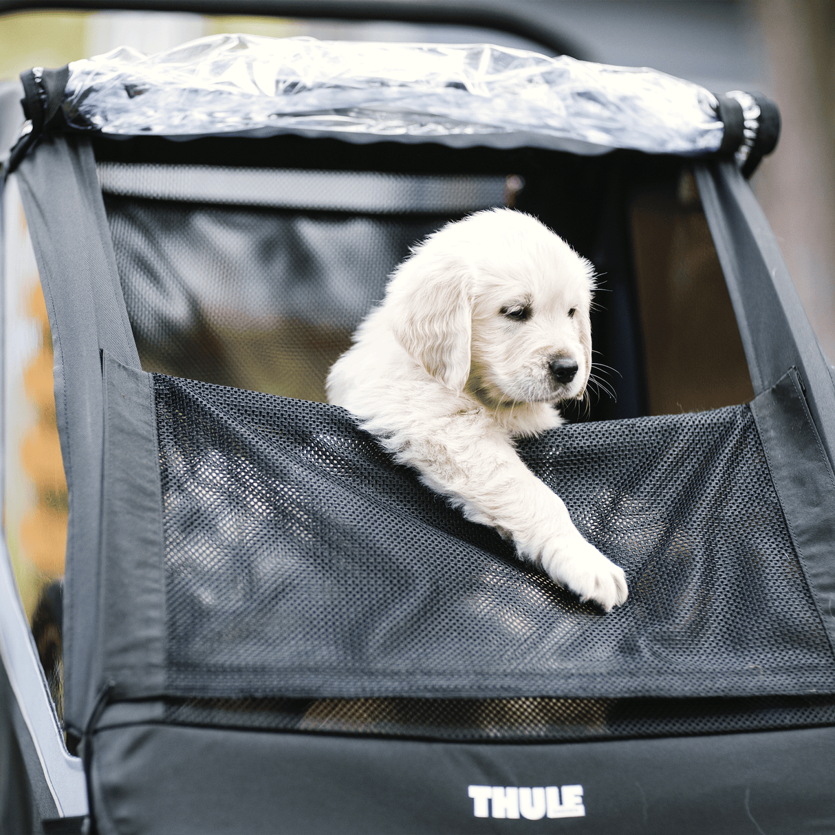 Thule - Courier Dog Trailer Kit - 20301002