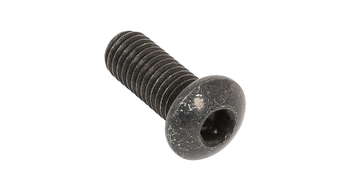 Rhino Rack - M8 X 20MM Black Button Cap Screw (Stainless Steels) (4 Pack) - B155-BLK-BP