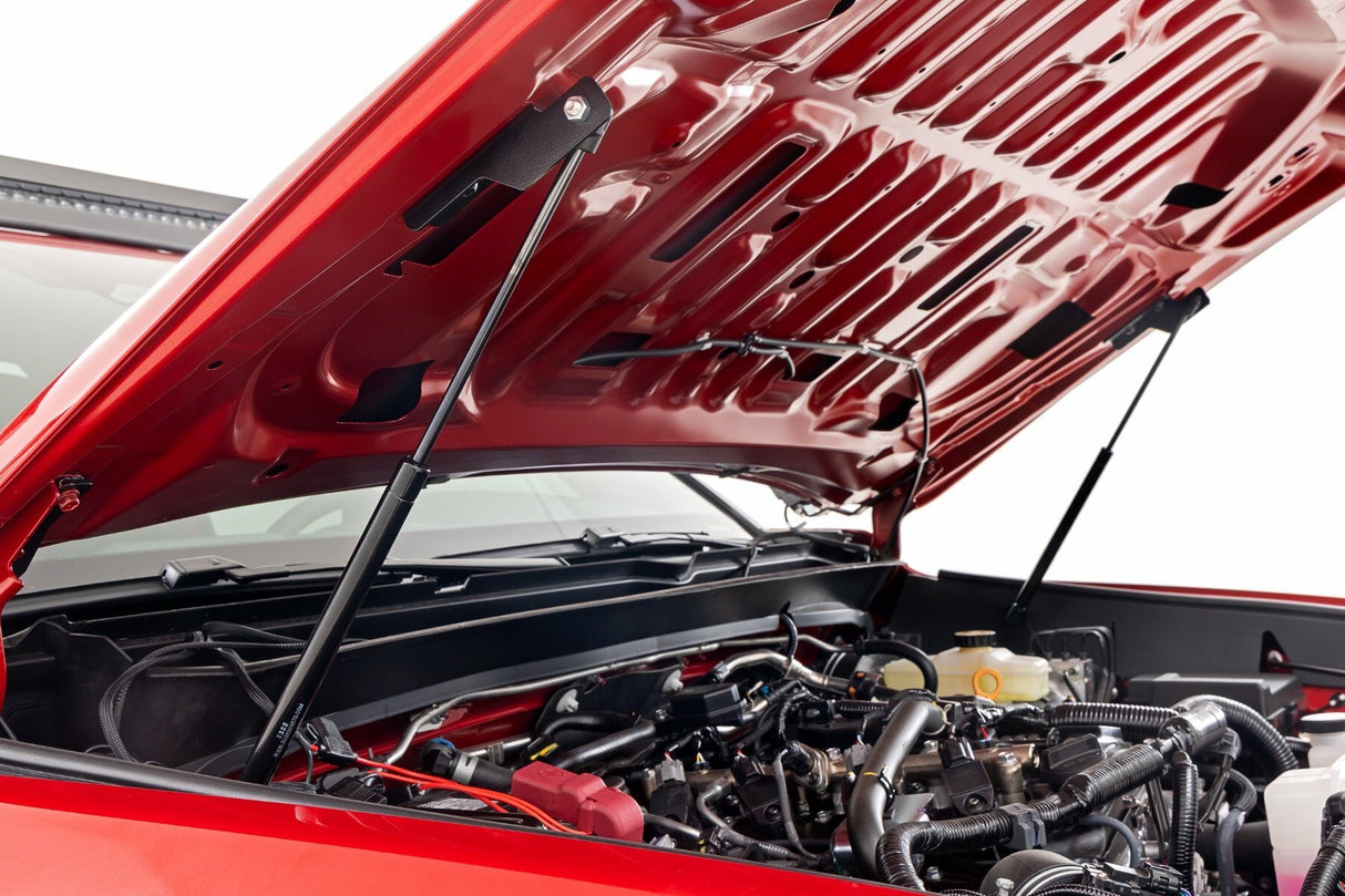 Hood Struts - Hydraulic - Toyota Tacoma 2WD/4WD (2024)