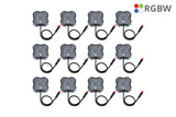 Diode Dynamics - RGBW Rock Light Installer Magnet Mount Kit w/Controller (12-pack) - DD7749C