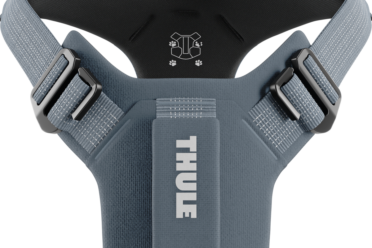 Thule - Thule Dart Harness Xs Dsl - 771205